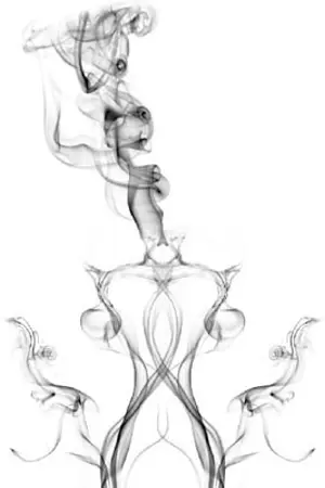 ปกนิยาย [EXO,SHINee]Camouflage (HunHan,2Min & Key)