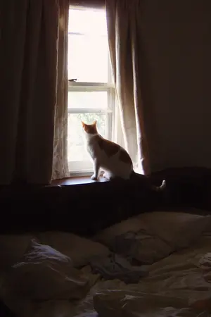 ปกนิยาย (got7) อาบ อบ นวด [Bnior]