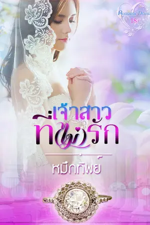 ปกนิยาย