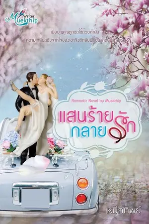 ปกนิยาย