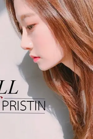 ปกนิยาย [PRISTIN] All About Stories