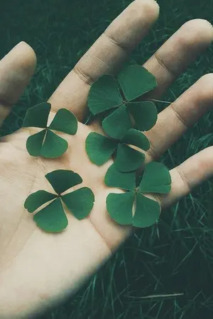 ปกนิยาย หลากรสรัก