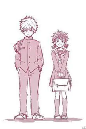 ปกนิยาย [BNHA]Watashi no R