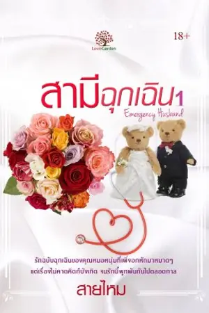 ปกนิยาย สามีฉุกเฉิน