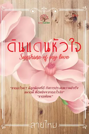 ปกนิยาย ดินแดนหัวใจ (Sunshine of my love)