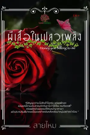 ปกนิยาย