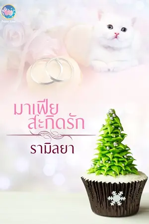 ปกนิยาย