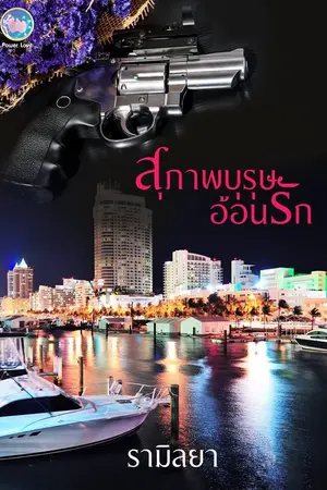 ปกนิยาย