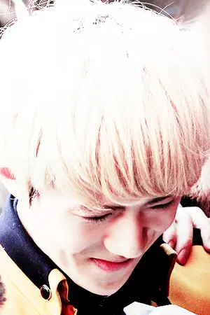 ปกนิยาย 고양이 sf-os ♡ kaihun / taohun / chanhun