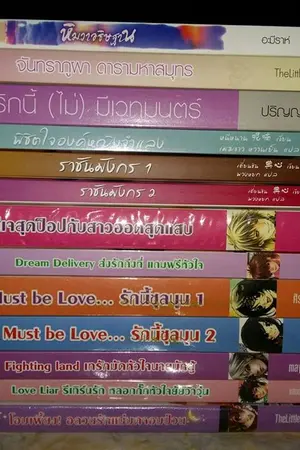 ปกนิยาย