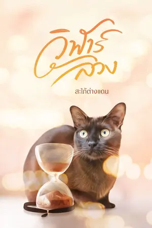 ปกนิยาย วิฬาร์ลวง(มีE-book แล้ว)