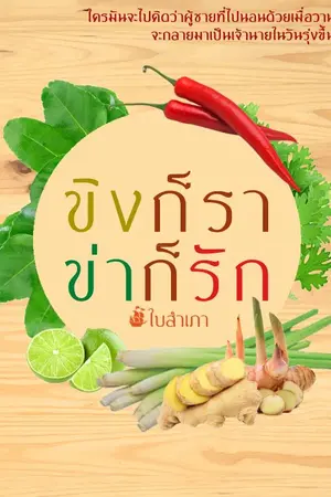 ปกนิยาย ขิงก็รา ข่าก็รัก