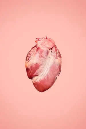 ปกนิยาย (NCT) la la love ♡ the omegaverse series