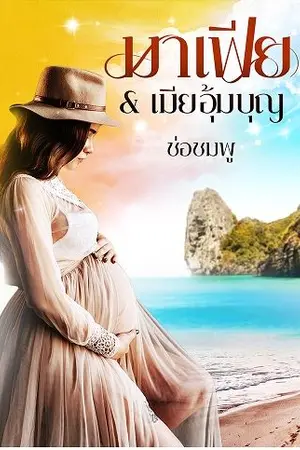 ปกนิยาย