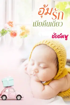 ปกนิยาย