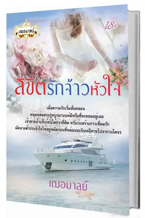 ปกนิยาย