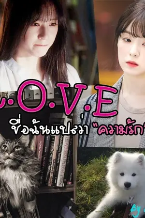 ปกนิยาย L.O.V.E [Yuri]