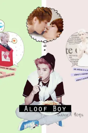 ปกนิยาย ' Aloof Boy ♡ [HunHan Ft.ChanBaek]