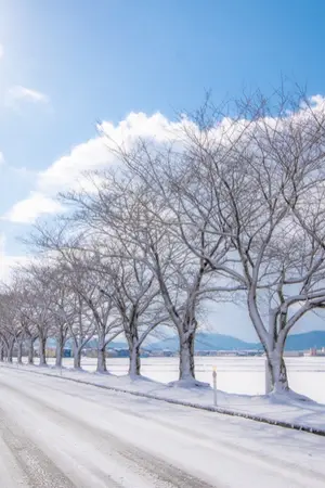 ปกนิยาย วิวาห์วุ่น...ลุ้นรัก