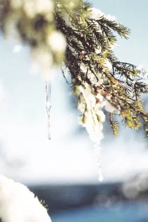 ปกนิยาย [Fic PRODUCE101] ... Melting ...