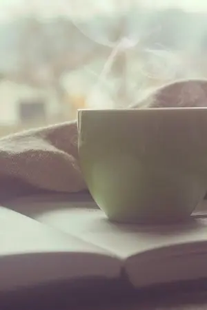 ปกนิยาย [Fic Boku no Hero Academia] Nebbia (KatsuDeku) [จบแล้ว]