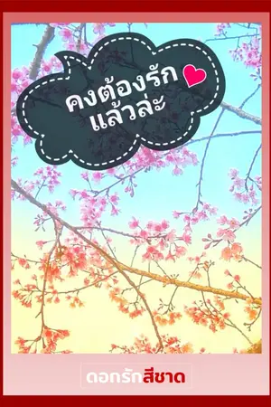 ปกนิยาย