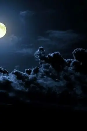 ปกนิยาย บุพผา-นิลกาล