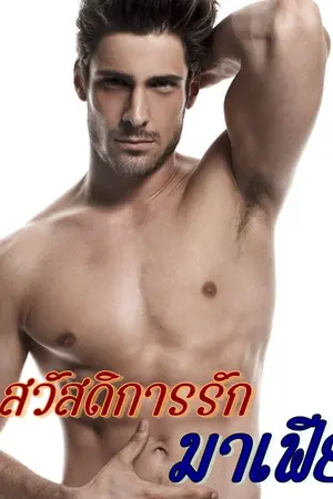 ปกนิยาย สวัสดิการรักมาเฟีย