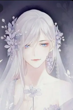 ปกนิยาย โซโคเฟีย