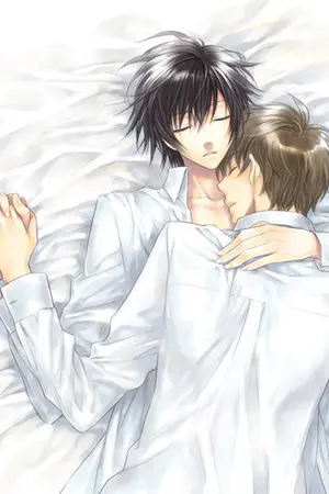 ปกนิยาย My melody บทเพลงรักกลางสายหมอก