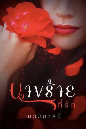 ปกนิยาย นางร้ายที่รัก.