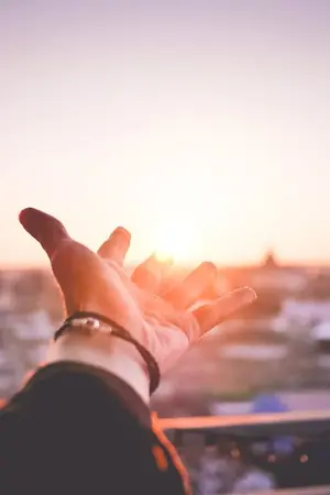 ปกนิยาย ดั่งฝันตะวันลวง