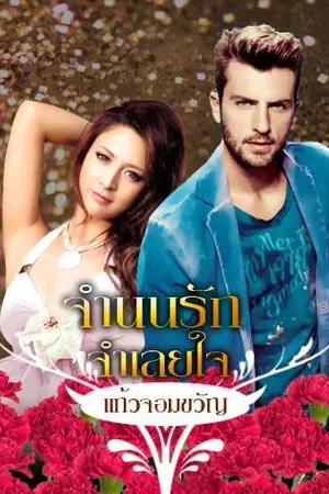 ปกนิยาย