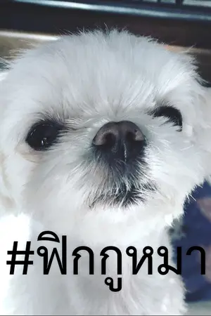 ปกนิยาย