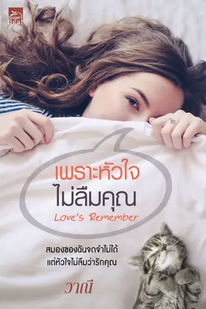 ปกนิยาย