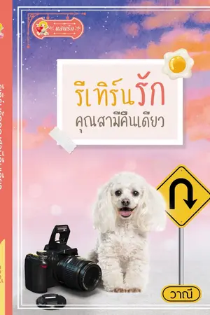 ปกนิยาย รีเทิร์นรักคุณสามีคืนเดียว (รีอัพให้อ่านฟรีจนจบก่อนติดเหรียญ)