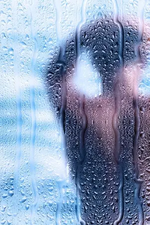 ปกนิยาย ปรารถนาสามีเด็ก