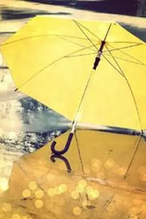 ปกนิยาย Raincoat - เจ้าสาวที่กลัวฝน