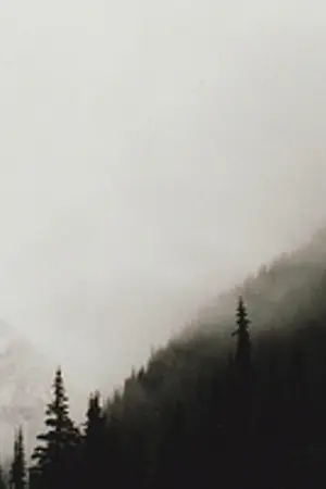 ปกนิยาย The Snow, Death and Decay