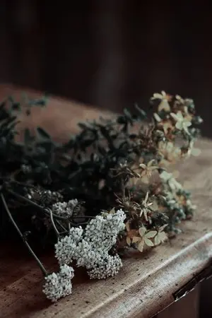 ปกนิยาย (Collection of My Writings: รวมงานเขียน/เรื่องสั้น/fanfic/แปลโดจิน) / focus on Naruto.