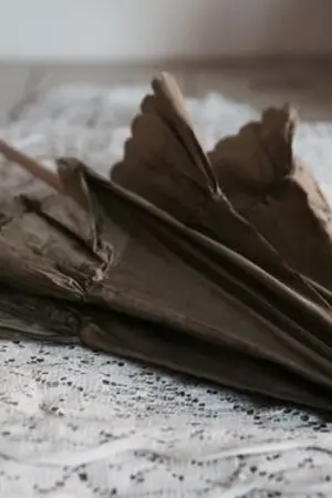 ปกนิยาย (Fic Conan | Gin x Sherry) During rain - Umbrella