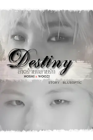 ปกนิยาย ☸ ลิขิตร้ายกลายรัก ┇ ⑰ SEVENTEEN #SOONHOON