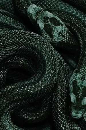 ปกนิยาย My One Shot - [ Dramione ]