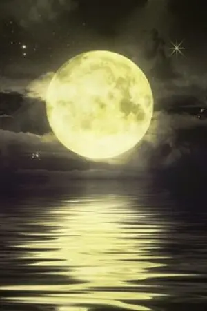 ปกนิยาย (OS/SF) BTS | GOT7 | SEVENTEEN ✈  OUR LOVE OUR TEAR