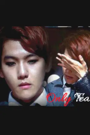 ปกนิยาย (e x o) O n l y  t e a r s ღ chanbaek