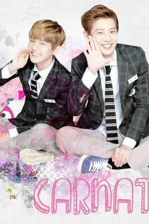 ปกนิยาย (exo) Carnation | chanbaek |