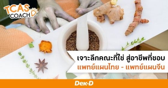 เจาะลึกคณะที่ใช่ สู่อาชีพที่ชอบ "แพทย์แผนไทย, แพทย์แผนไทยประยุกต์, แพทย์แผนจีน"