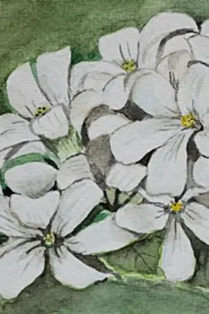 ปกนิยาย บ่วงอธิษฐาน ( Yaoi )