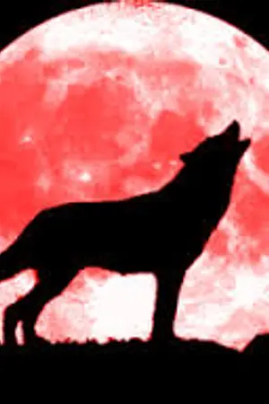 ปกนิยาย [FIC JUNSEUNG]  WLOF สงครามล่าหัวใจ 