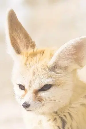 ปกนิยาย Fantastik websted `แนะนำเว็บเยอะที่สุดใน .ส า ม โ ล ก PART2